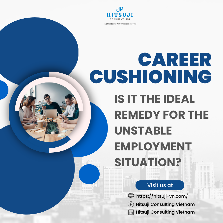 CAREER CUSHIONING - IS IT THE IDEAL REMEDY FOR THE UNSTABLE EMPLOYMENT SITUATION?